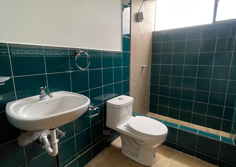 ce3e2291-626e-476f-bf36-80475c136fde